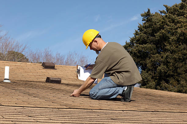 Professional Roofing service in Pioche, NV